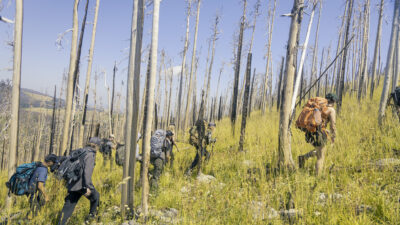 Survival Skills and Rad Gear: The 2023 Backcountry Skills Summit