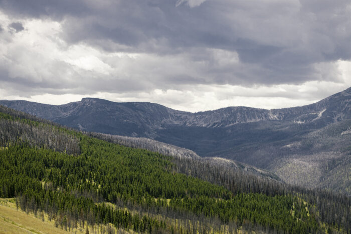 Backcountry Skills Summit Location