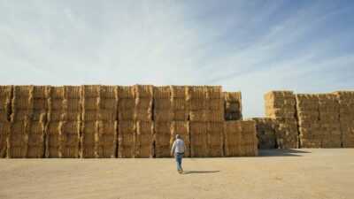Patagonia Team, Yvon Chouinard Build Hay-Bale Homes