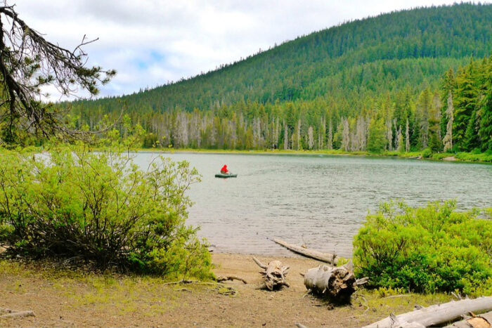 Frog Lake Mount Hood