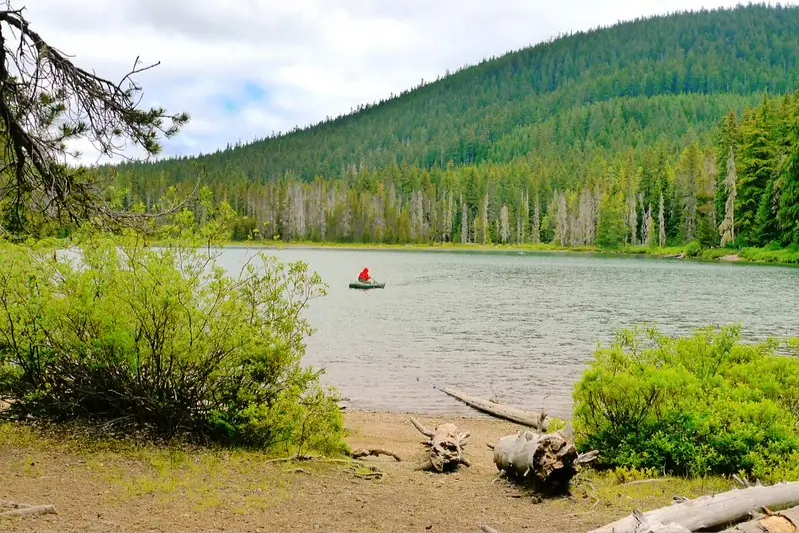 Frog Lake Mount Hood