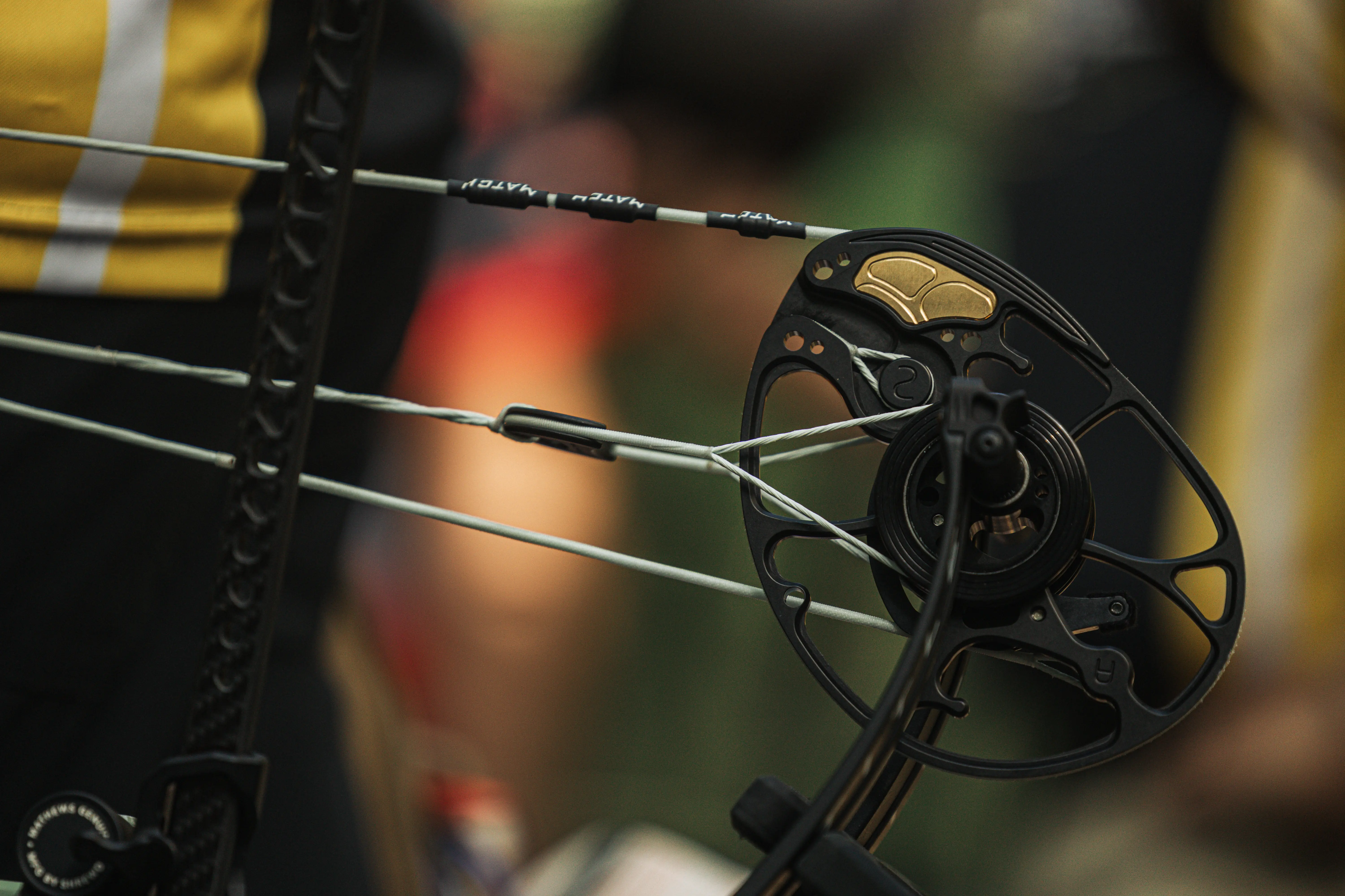 Mathews Title Cams