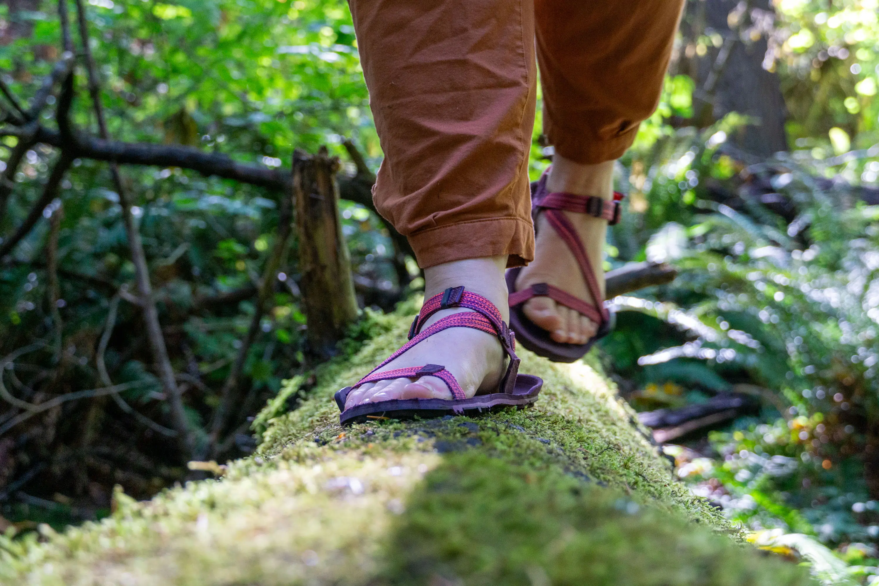 Xero Trail EV Sandals on Mossy Log