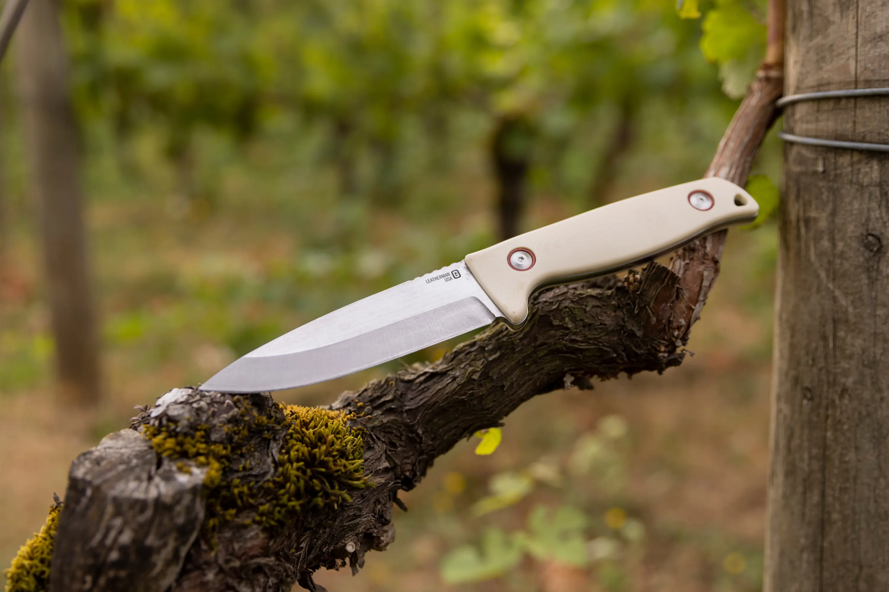 leatherman harvest fixed blade knife on branch outside