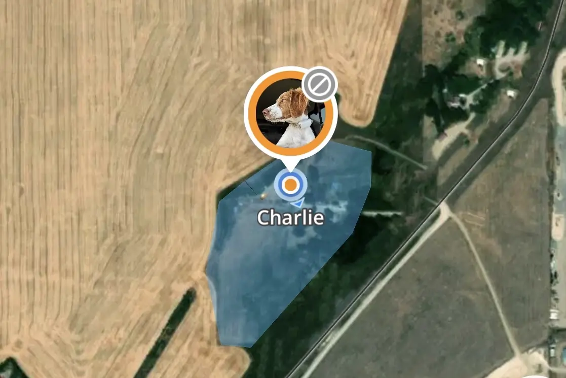 Halo Collar 3 Fences