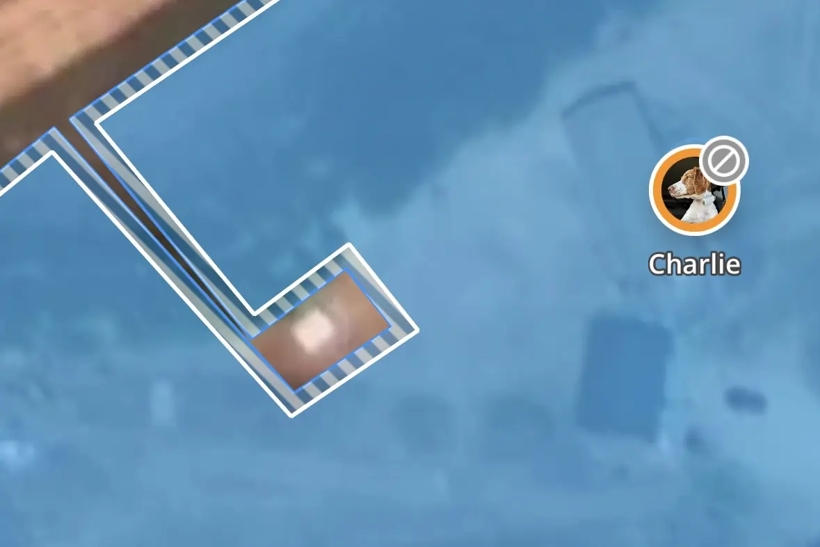 Chicken Coop Exception, Halo Collar 3