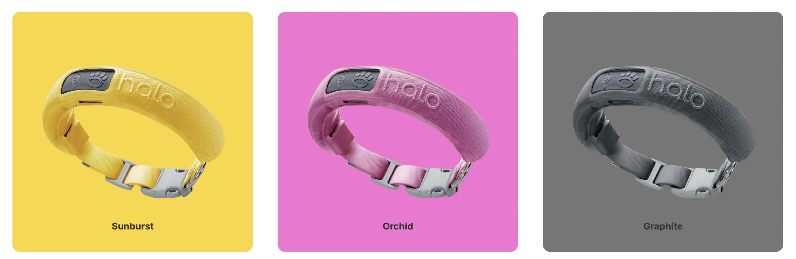 New Halo Collar 3 Colors