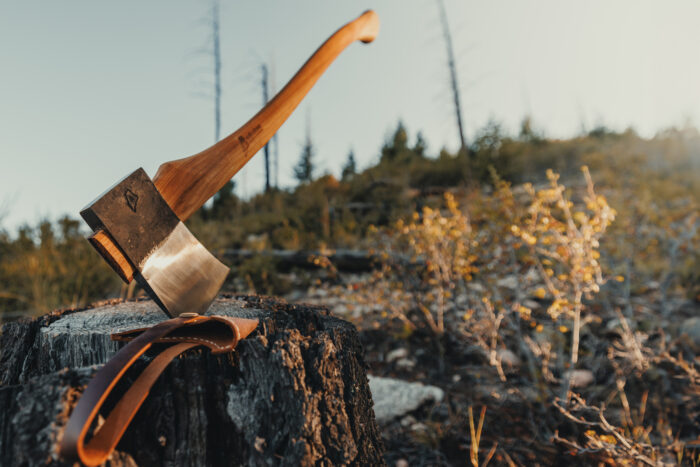 Solo Stove x Brant & Cochran Maine Axe in tree stump