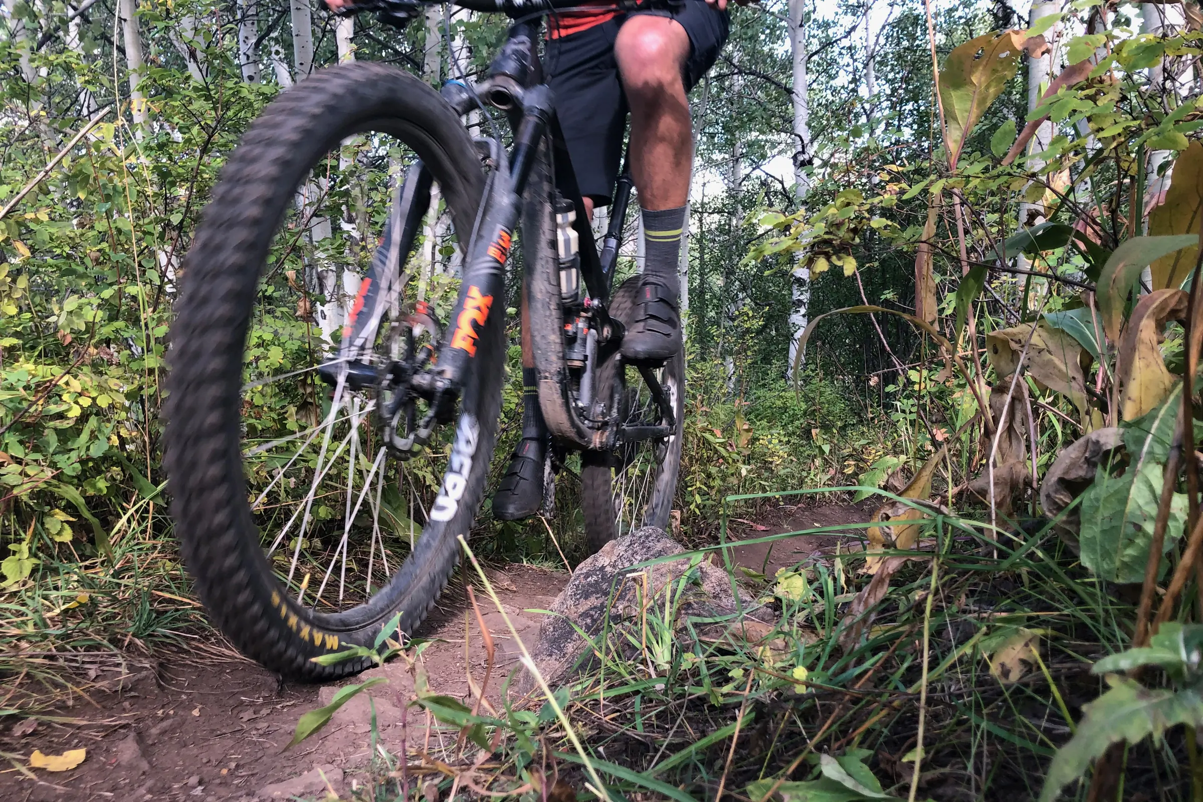 Mountain biking using the Shimano's XC1 shoes 