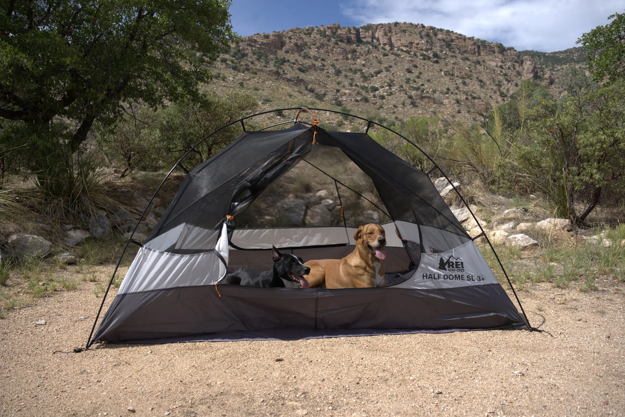 REI co-op half dome sl3 + in the outdoors with my two of my pets inside
