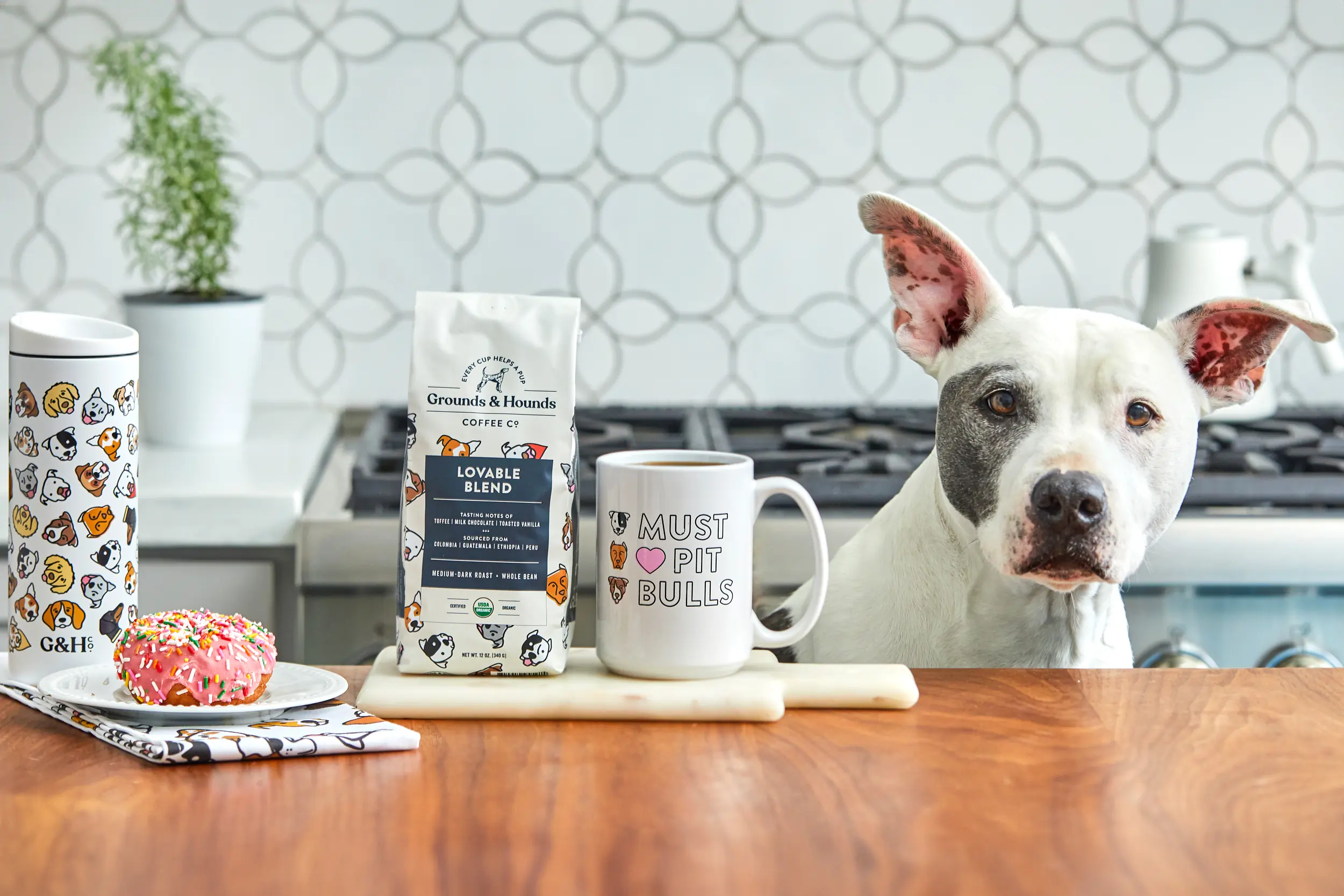 grounds and hounds pit rescue coffee on table next to donut and pit bull
