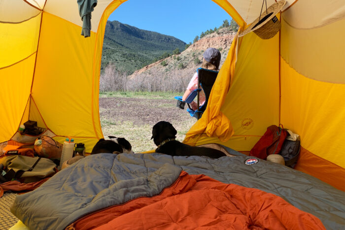 Big Agnes Dream Island Sleeping Bag