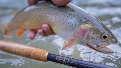 Two Fishing Rods in One: Tenkara Rod Company Teton Zoom Review