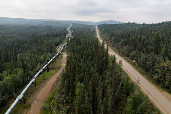 Van Life Catastrophe at the Top of the World