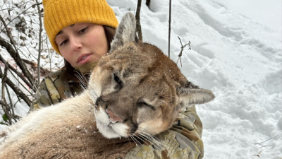 Dear Carole Baskin: You Are Wrong About Hunting