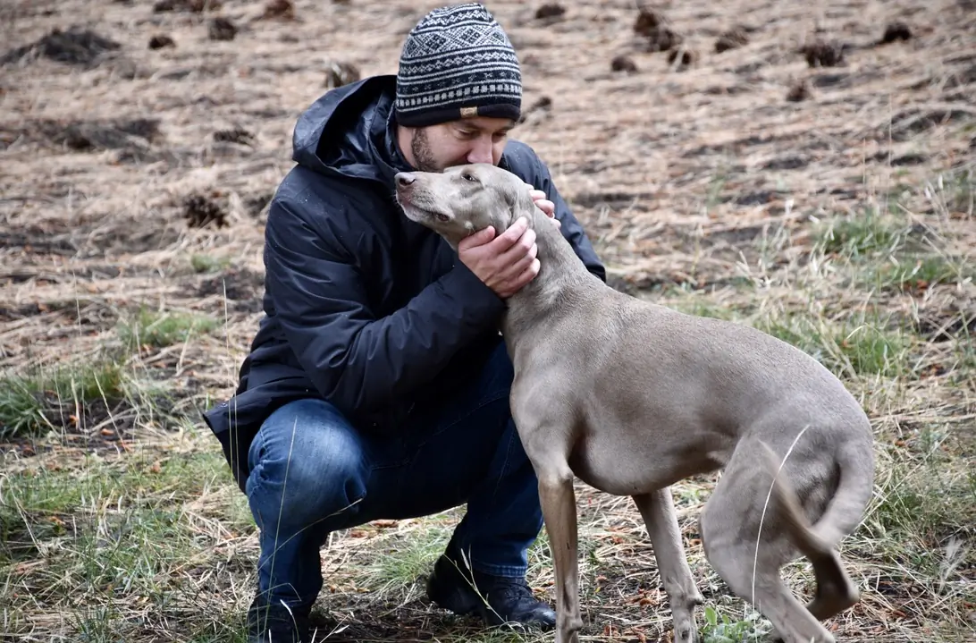 A man pets his dog while wearing the Patagonia Tres 3-in-1 Parka.