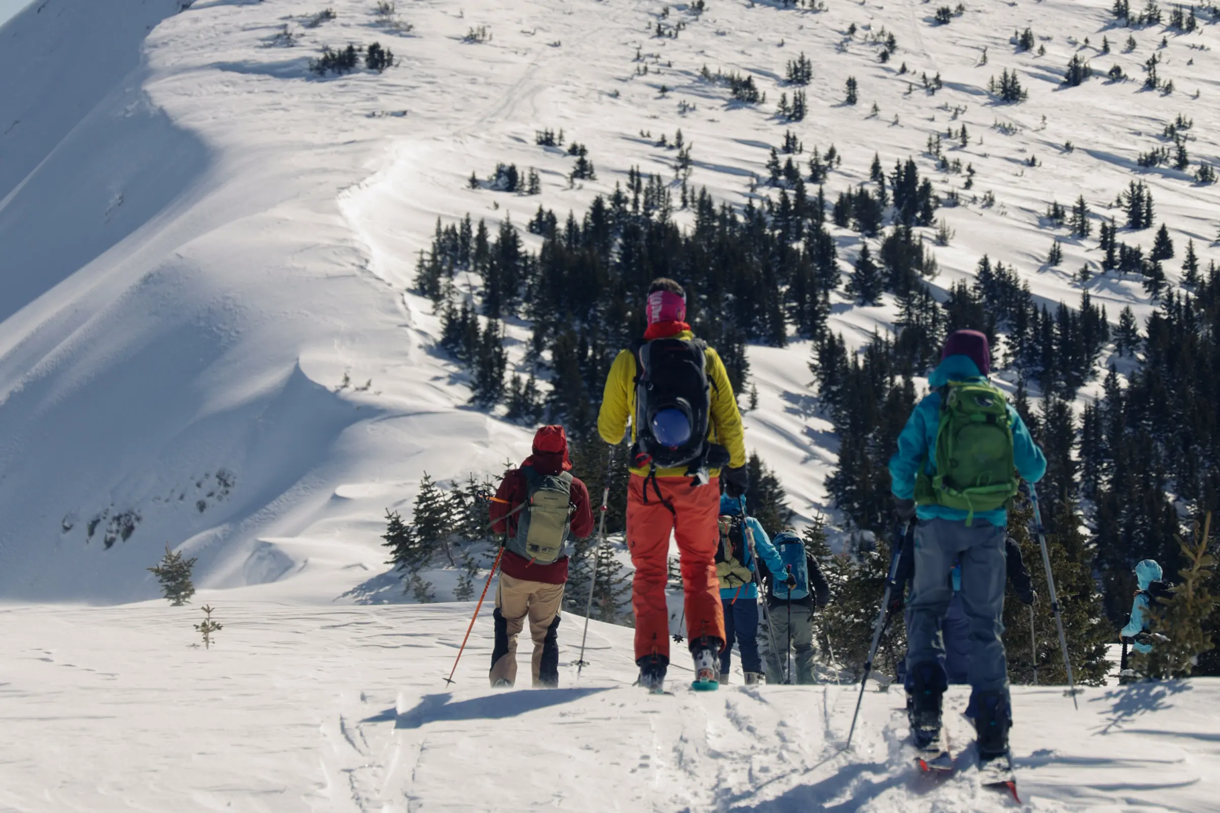 Group of skiers getting ready to go through a snowy mountain trail