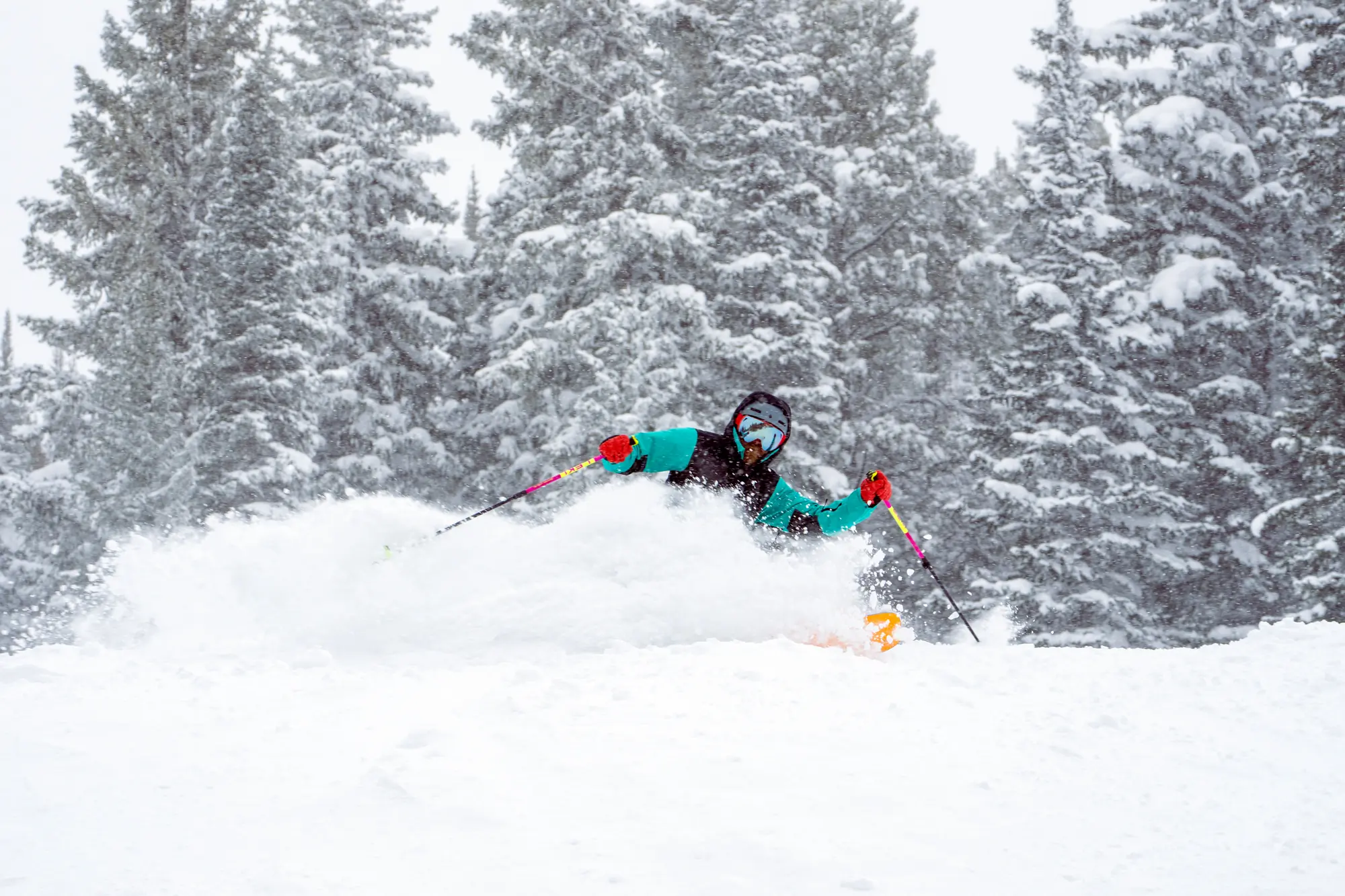 ski pants buyer's guide