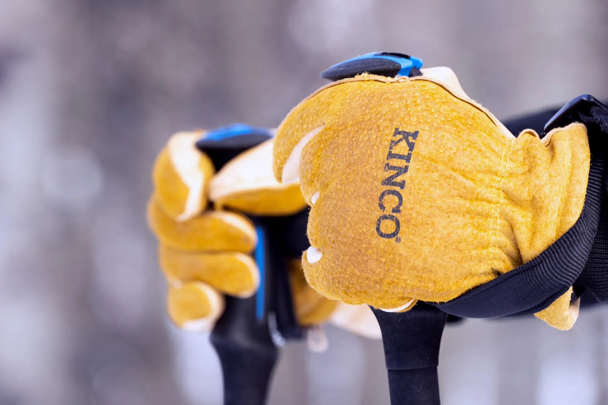 KINCO ski gloves in ski pole straps 