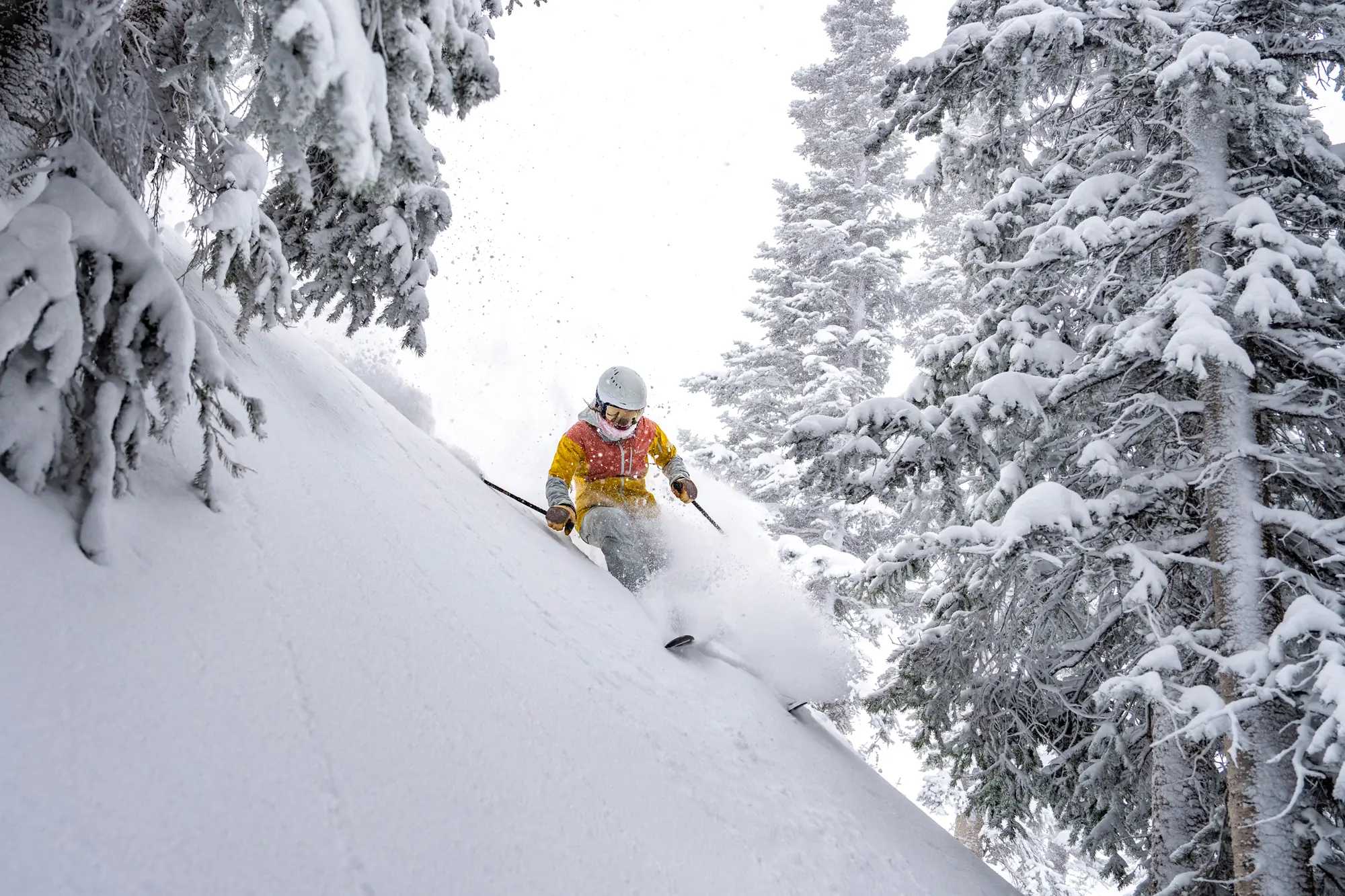 best women's ski jackets 