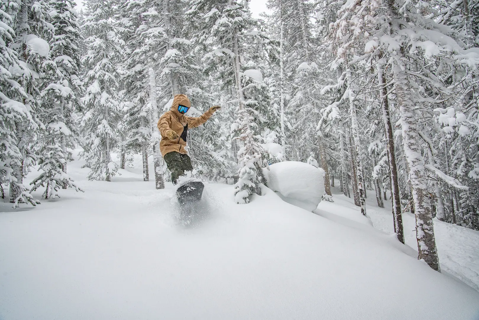 snowboarder floating on powder in the glades 