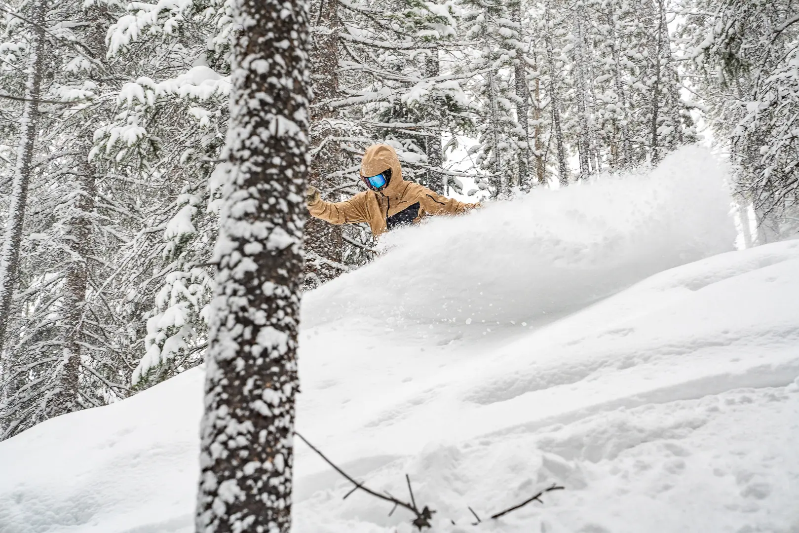 snowboarder making big slash in powder field in the trees 