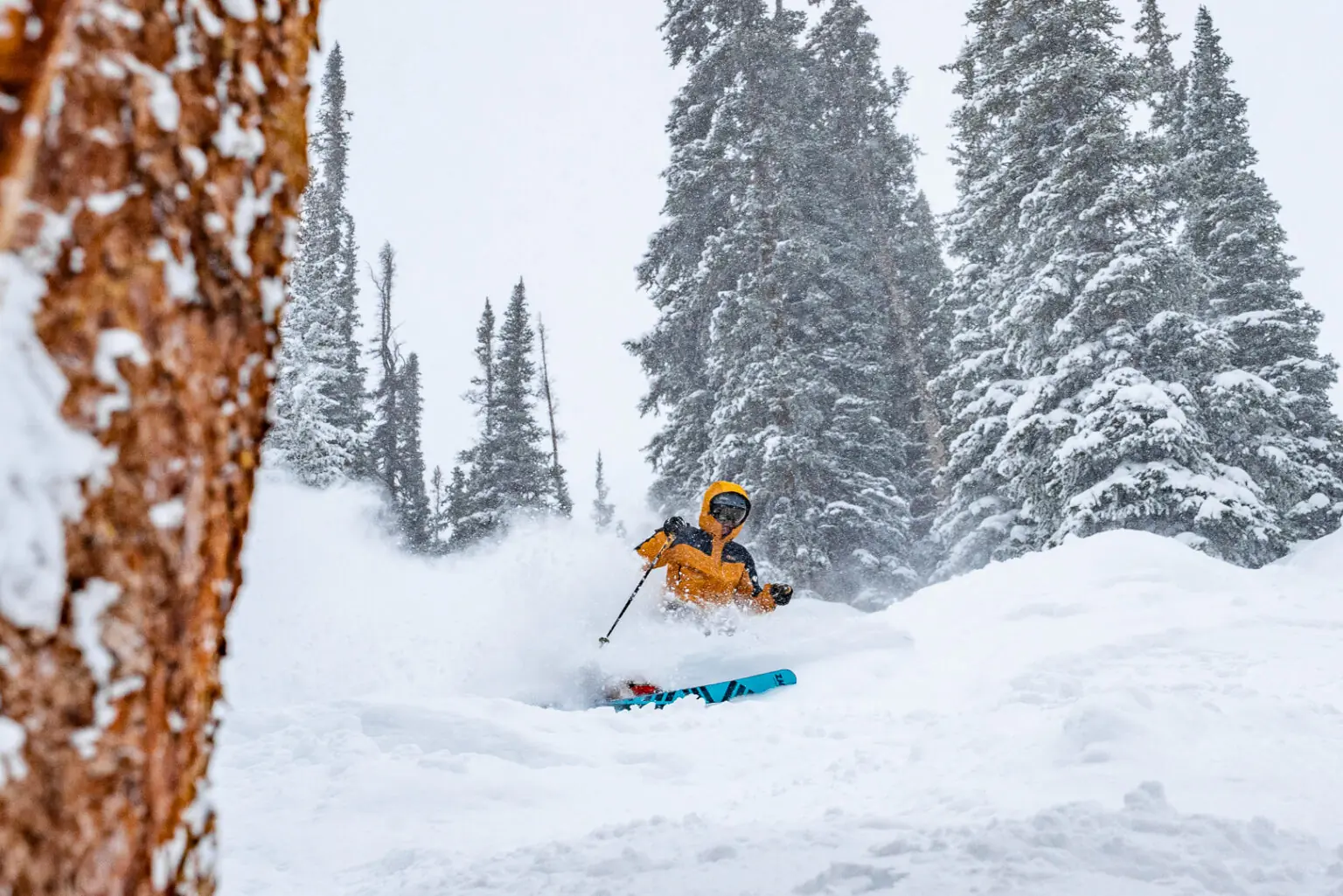 ski pants buyer's guide
