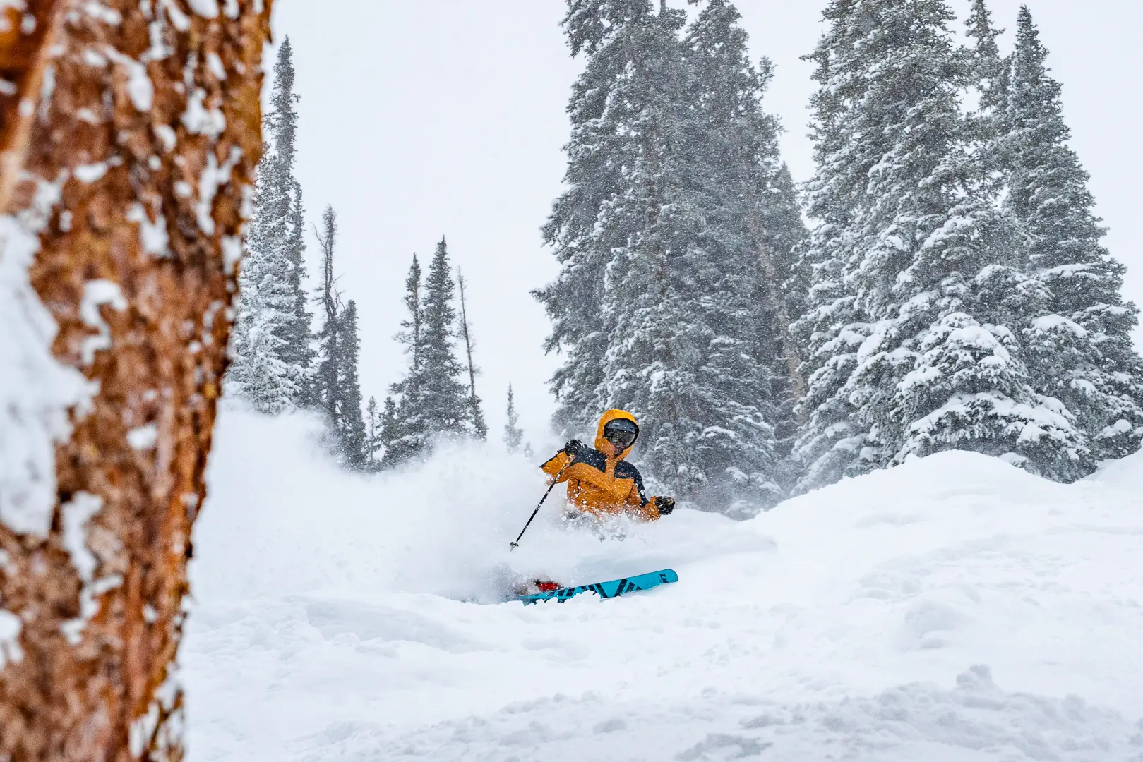 ski pants buyer's guide