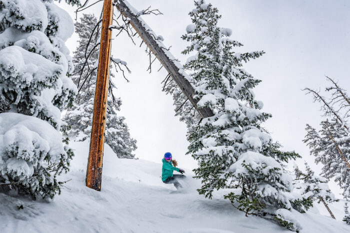 Rider carving through powder in the trees