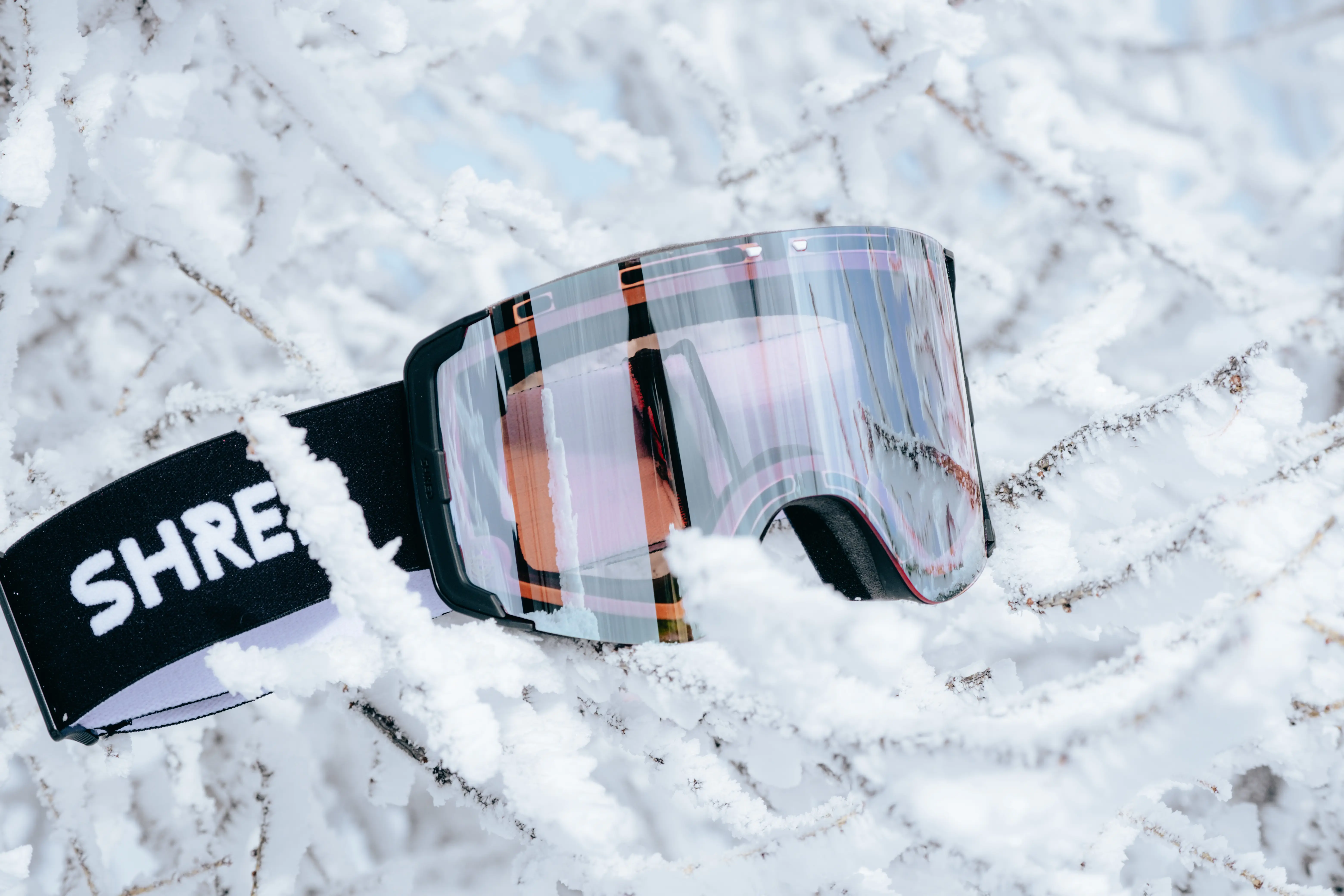 (Photo/Chair 6 Collective)