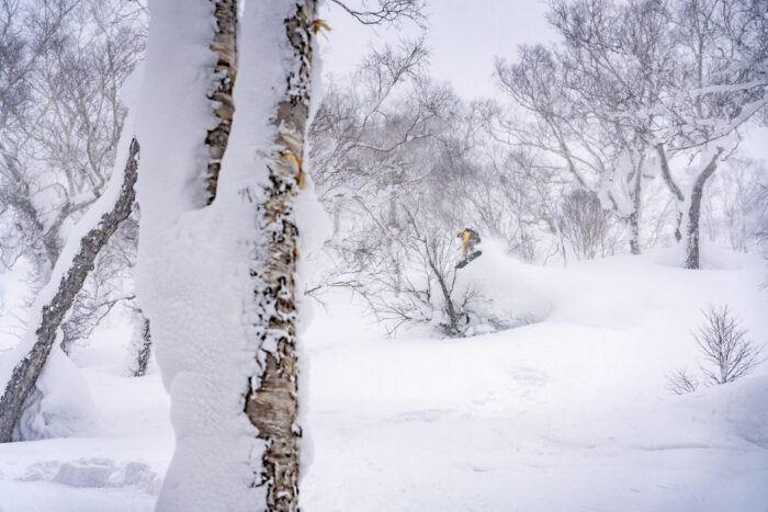 Skier drops on a powdery snow field  on a backcountry tour with Rhythm Rides