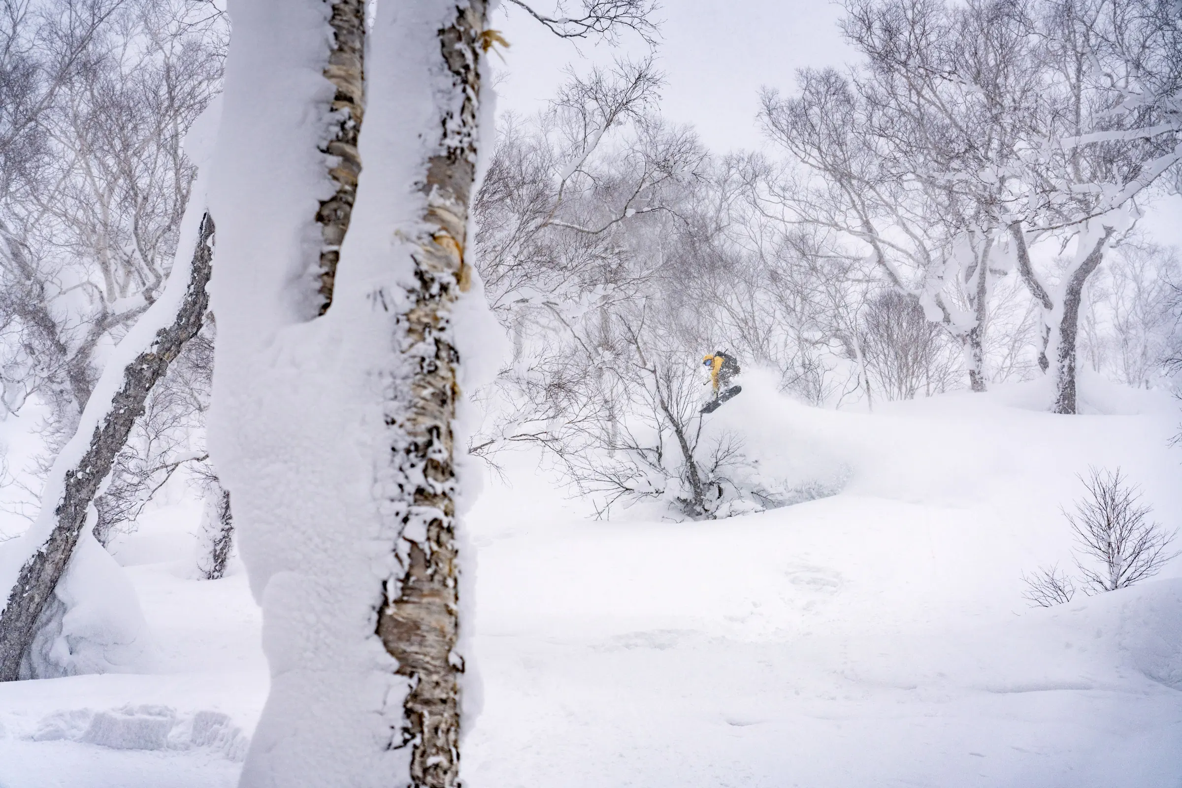 Skier drops on a powdery snow field  on a backcountry tour with Rhythm Rides