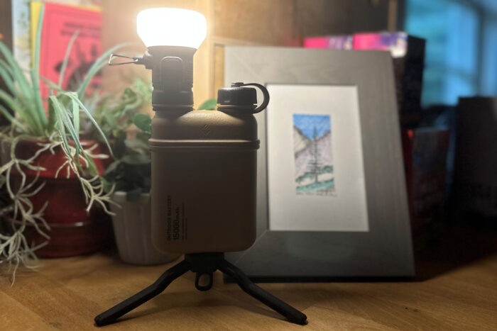 Portable charger with portable led lamp