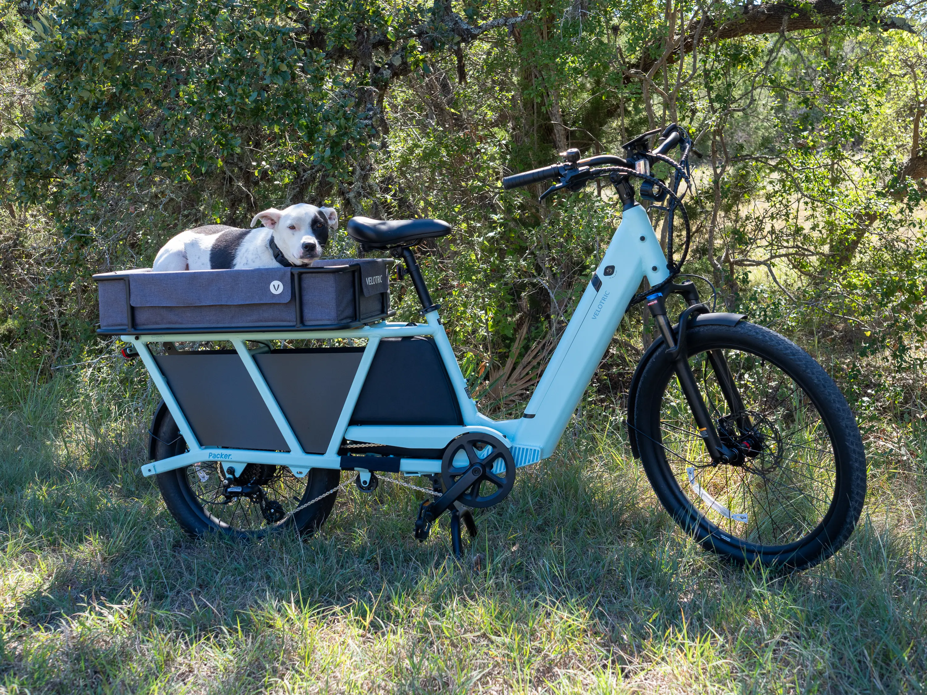 An example of a longtail electric cargo bike 