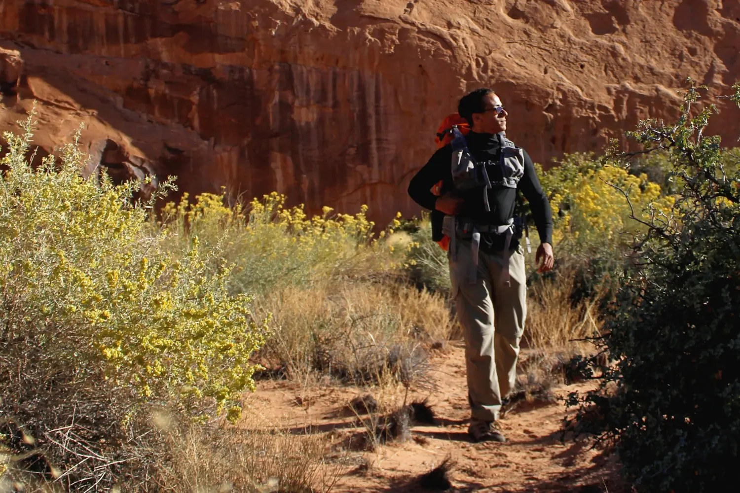 birdger 65 pack vest