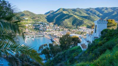 A ‘Slaughter’ or Not? Catalina Island Conservancy Plans to Kill 2,000 Deer With Helicopter Hunts