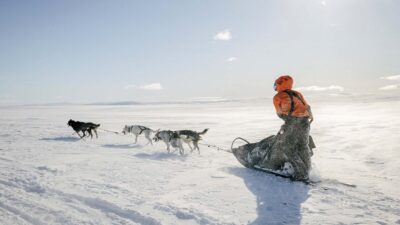 Apply for Epic Dogsled Adventure: Fjällräven Polar Challenge Opens Up 2024 Slots