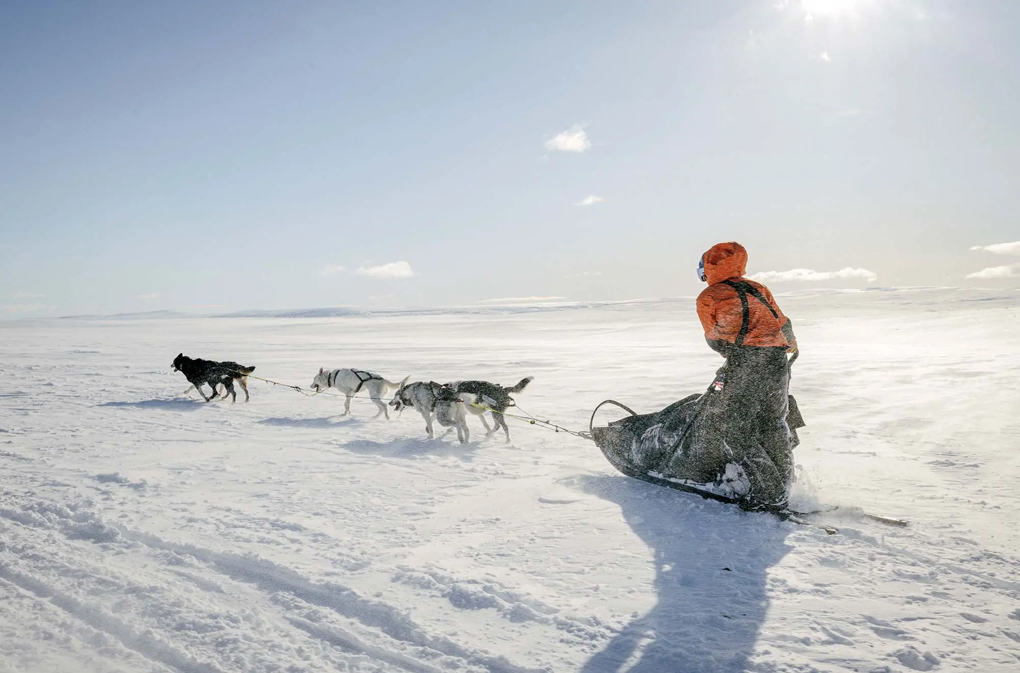 Apply for Epic Dogsled Adventure: Fjällräven Polar Challenge Opens Up 2024 Slots
