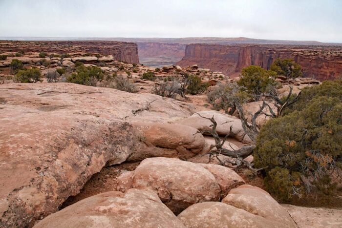 Labyrinth Canyon in Moab