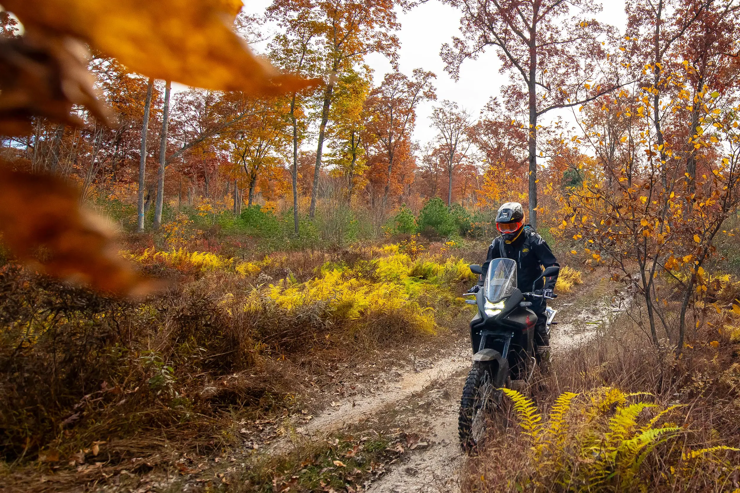 Seiji Ishii on the 2024 Honda Transalp 750