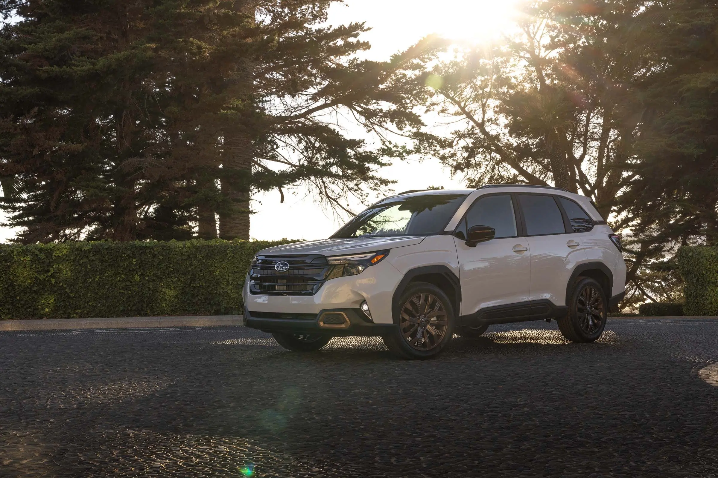 2025 Subaru Forester Debut: No Wilderness or Hybrid … Yet