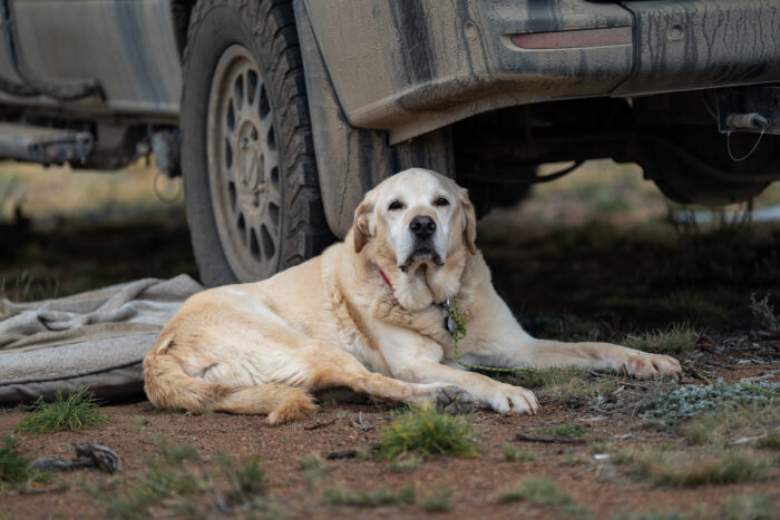 camper van breakdown in Deadhorse Alaska