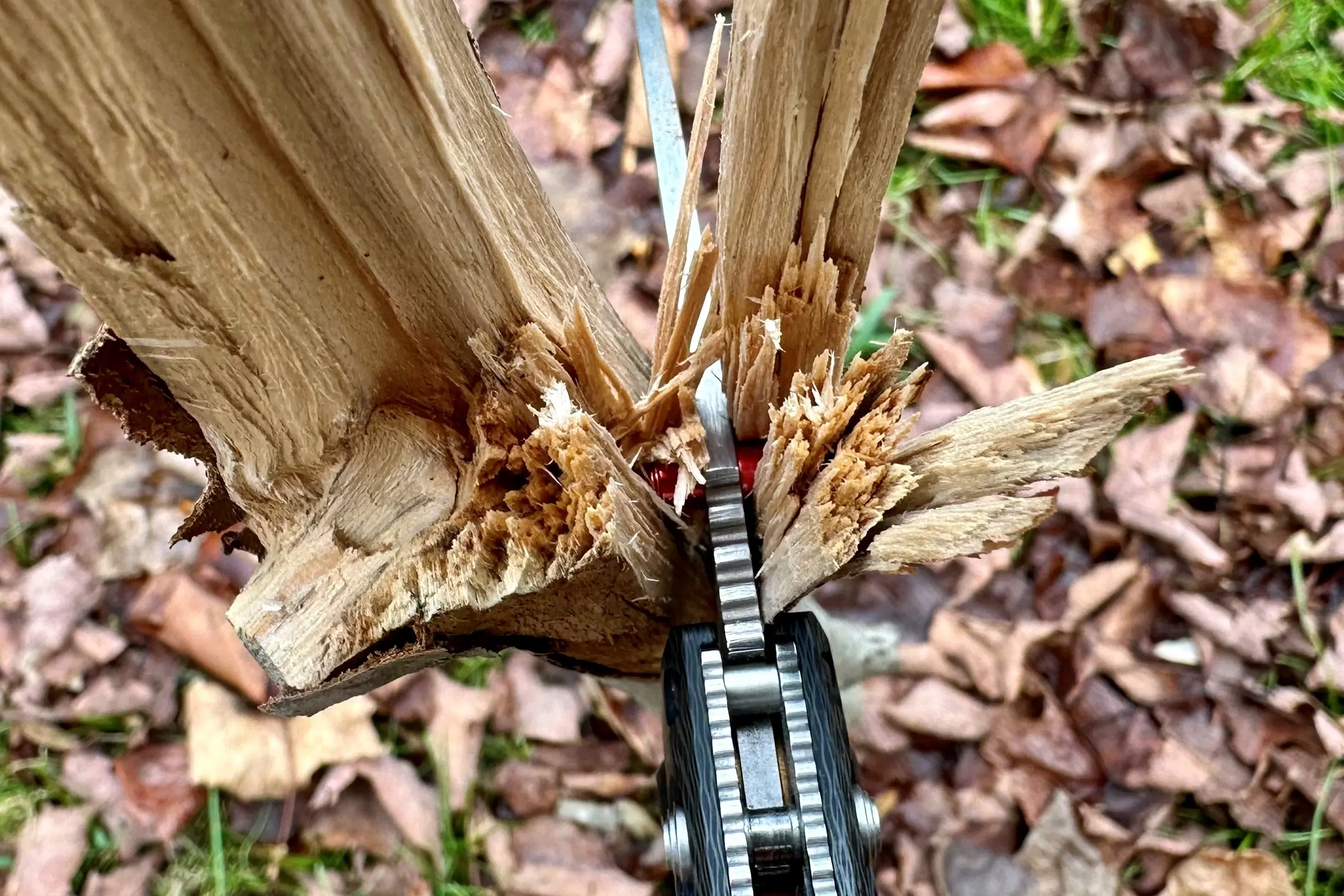 Using the Benchmade Freek knife for batoning