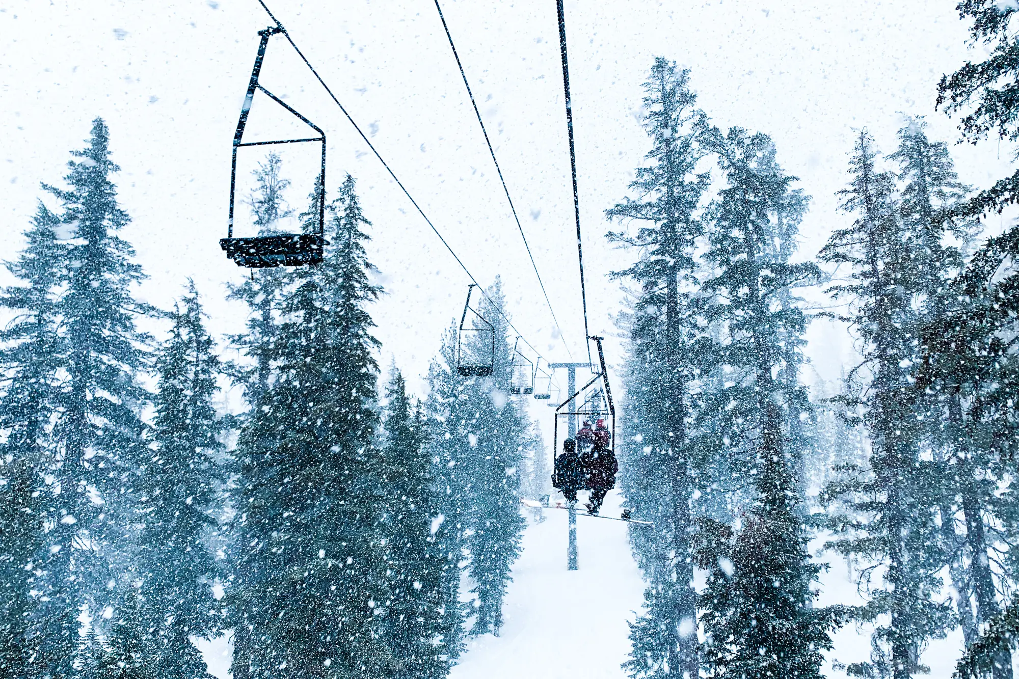 A chairlift in a blizzard with trees