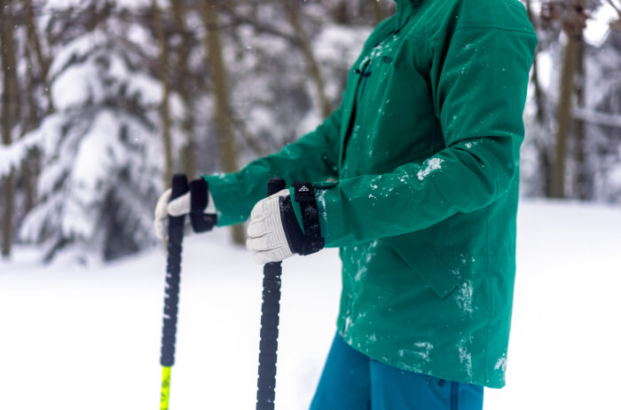 best ski poles