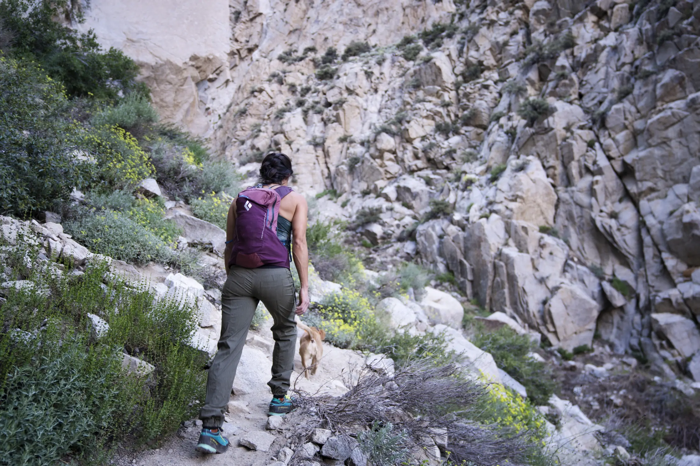 Black Diamond Pursuit 15 Daypack on Trail