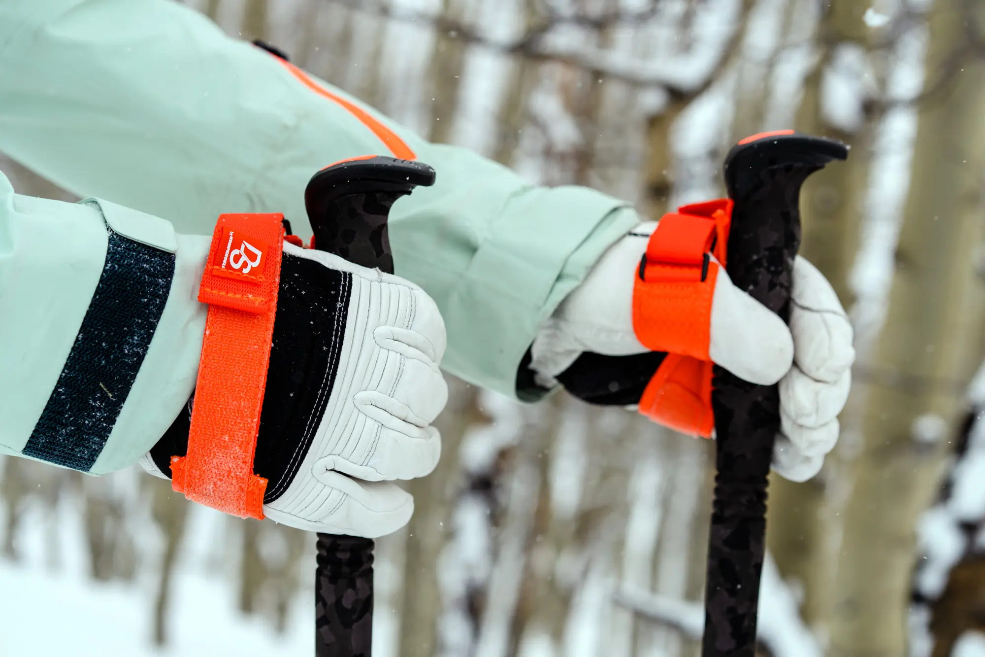 best ski poles