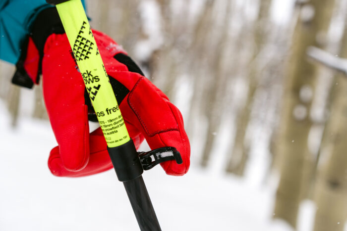 best ski poles