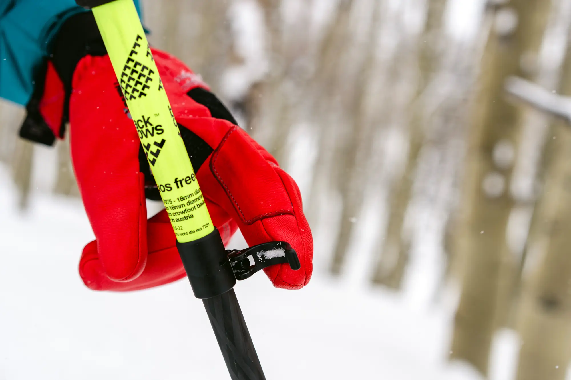 best ski poles