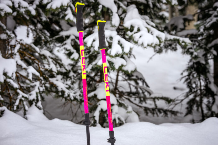best ski poles